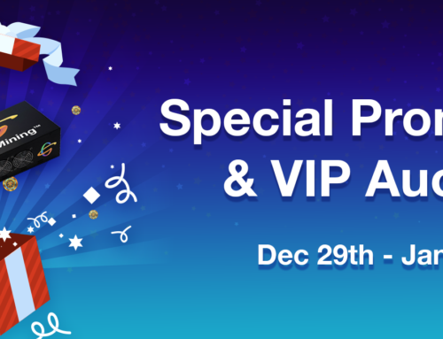 New Years Special Promotion and VIP Auction